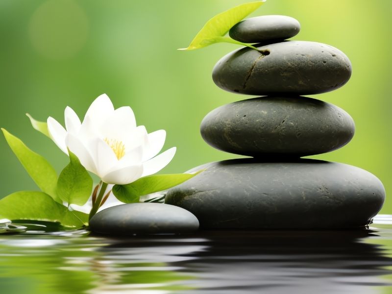 fonksiyonel-tip-perspektifi