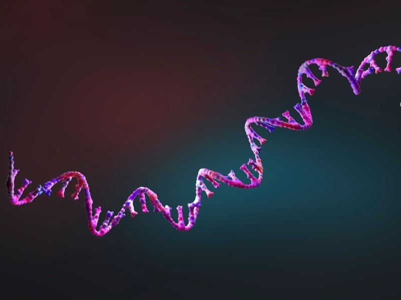 mikrobesinler-ve-biyokimya